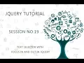 JQUERY TUTORIAL FOR BEGINNERS 19 TEXT SELECTOR WITH FOCUS IN AND OUT IN JQUERY