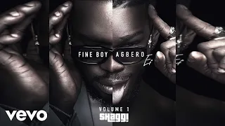 broda shaggi gbedu official audio 