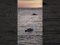 Download Lagu Will the computer love the sunset? (AI protest poet listens to Jesse Welles)