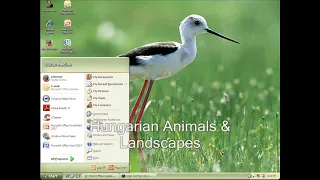 Classic Windows XP Desktop Themes Startup And Shutdown Sounds V3 
