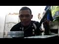 Download Lagu Kaulah muda