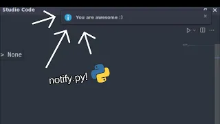 A simple python module that sends desktop notifications in Linux Just 5 Lines of Code