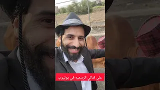 مصطفى المومري مع البقره الحمراء حق اسرائيل 