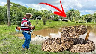 OLHA O QUE ACONTECEU😱DIANTE DA SITUAÇÃO🤯TIVEMOS QUE PEGAR FIRME NA LIMPEZA