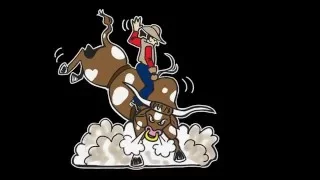 Molly s Custom Silver Bull Rider