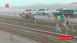 الشوط 2 شاهين لـ محمد حمد السعودي الدرعي 2 13 28 شارة الصندوق 2025 06 07 فطامين الرقيعات 