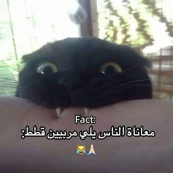 #نطالب_بطرد_الاوتاكو_لليابان