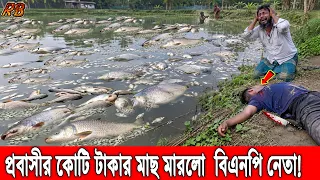 গভীর রাতে প্রবাসীর পুকুরে বি’ষ দিয়ে কোটি টাকার মাছের সাথে কৃষককেও মে'রে ফেললো বিএনপি নেতা! News