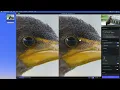 Topaz Photo AI Quick Start