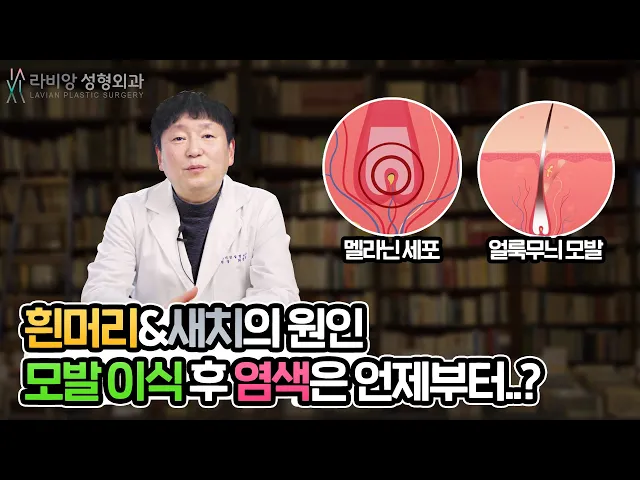 흰머리, 모발이식이 가능할까요?? 모발이식 전 알아야 될 상식!👀👀