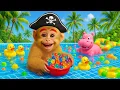Download Lagu SASA Pirata na Piscina com Patinhos!🐵🦆 | SASA MACACO TV
