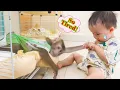 Download Lagu Pupu is very tired, just wants to sleep. Baby Nguyen can't wake him up.
