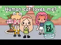 Download Lagu Human cat loves me ? 🐱💕 | Toca life story | Toca Boca