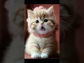 Download Lagu just a baby. don’t ask questions 🍼#cute #cat #kitten #catlovers #lipsync