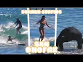 Summertime Surfing Fun at San Onofre