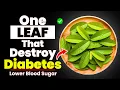 Lagu 1 Leaf That LOWERS Blood Sugar, MELTS Fat \u0026 CLEARS Arteries FAST! (Doctors Shocked)