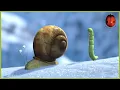 It's a tie! 🍃 Minuscule 🍃| 45' Compilation