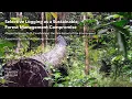 Selective Logging as a Compromise for Sustainable Forest Management