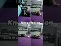 Exercises for Knee Flexion after Surgery