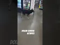dollar general activites
