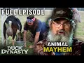 The Robertsons Craziest Animal Moments From All 11 Seasons Full Episode Duck Dynasty