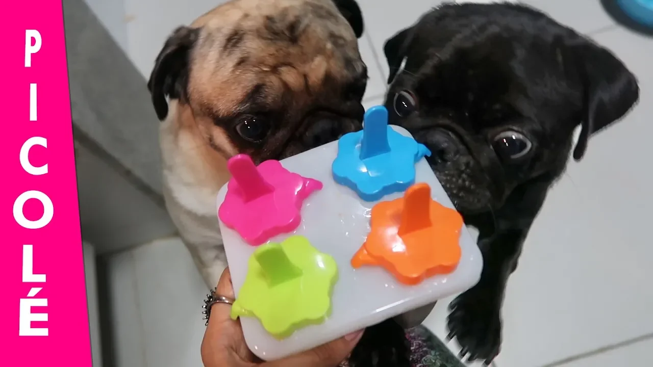 Como fazer bolo para cachorro?