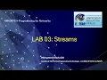 Lab03 Java Streams