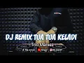 Download Lagu DJ REMIX TUA TUA KELADI - TRIO MANIEZ (Dj Emi)
