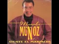 Manolo Muñoz - Ay amor ya no me quieres tanto (audio)