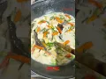 Lagu RESEP JANGAN TAHU TEMPE PEDAS. resep di deskripsi