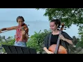 Sunflower by Post Malone for String Duo