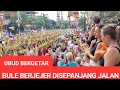 Download Lagu UBUD BERGETAR,ikut mengabadikan moment akhir upacara besar adat bali Wisatawan berjejer spanjang jln