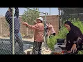 Download Lagu The daily life of an engineer and his wife: installing a pool fence