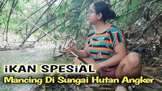 mancing ikan di sungai air dangkal hutan kampung pedesaan