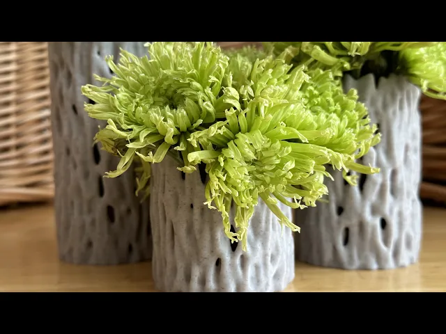 Banyan Tree Vases  video thumbnail