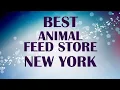 Animal Feed Store in New York