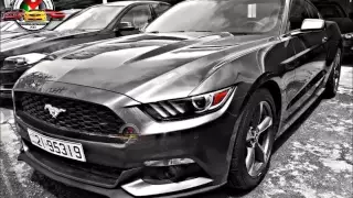 شرحبيل التعمري مجوز جديد 