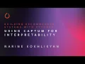 Using Captum for Interpretability Building Recommender Systems with PyTorch Narine Kokhlikyan