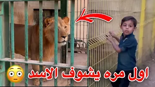 رداة فعل دانيال من شاف الاسد     الزوراء الجزء     دندنها