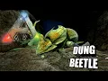 Taming A Dung Beetle Ark Survival Evolved The Island