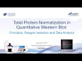 Webinar Total Protein Normalization - The New Normal in Quantitative Western Blot