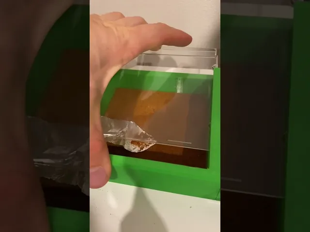 bullant nest inside.3mf video thumbnail