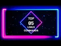 Top 5 Linux Commands For Beginners