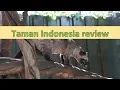 Download Lagu TAMAN INDONESIA | Review Indonesische dierentuin Overijssel