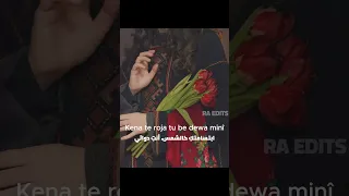 اجمل اغنية كردية تربند مترجمة كاملة    كرمانجي هارا كولي                        دندنها