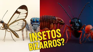 5 INSETOS LOUCOS QUE OS CIENTISTAS DESCOBRIRAM RECENTEMENTE