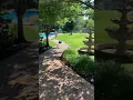 Raypak Pool Heat Rollout SW Open