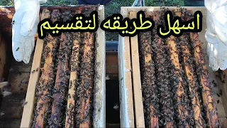 كيفية تقسيم خلية النحل بطريقة جد سهلة وبسيطة مع ترك الخلية في نفس المكان وتربية ملكات منها 1 