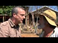 Download Lagu Wild At Heart Series 7 Episode 2
