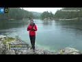 Secrets of the Temperate Rainforest Pacific Northwest Lindblad Expeditions-National Geographic